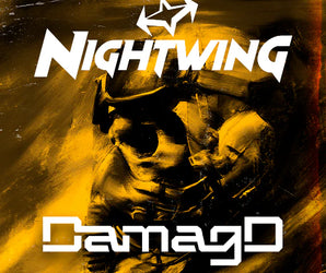 DamagD Nightwing 0702 Motors