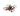 Nanohawk 1S Ultralight Brushless FPV Drone